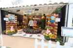 27032026_Hong Kong Flower Show_Hanami Row00048