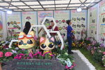 27032026_Hong Kong Flower Show_Hanami Row00050