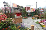27032026_Hong Kong Flower Show_Hanami Row00054