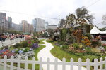 27032026_Hong Kong Flower Show_Hanami Row00063
