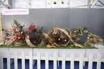 27032026_Hong Kong Flower Show_Hanami Row00167
