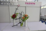 27032026_Hong Kong Flower Show_Hanami Row00169