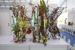 27032026_Hong Kong Flower Show_Hanami Row00203