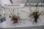 27032026_Hong Kong Flower Show_Hanami Row00233