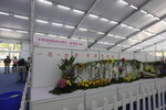 27032026_Hong Kong Flower Show_Hanami Row00244
