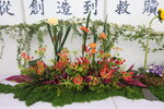 27032026_Hong Kong Flower Show_Hanami Row00264