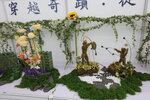 27032026_Hong Kong Flower Show_Hanami Row00265