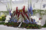 27032026_Hong Kong Flower Show_Hanami Row00266