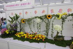 27032026_Hong Kong Flower Show_Hanami Row00269