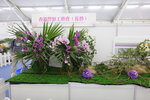 27032026_Hong Kong Flower Show_Hanami Row00272