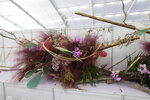 27032026_Hong Kong Flower Show_Hanami Row00278