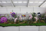 27032026_Hong Kong Flower Show_Hanami Row00281