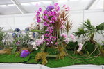 27032026_Hong Kong Flower Show_Hanami Row00284