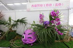 27032026_Hong Kong Flower Show_Hanami Row00285