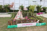 27032026_Hong Kong Flower Show_Hanami Row00312