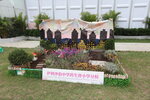 27032026_Hong Kong Flower Show_Hanami Row00313