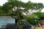 23102021_Po Toi Island00018