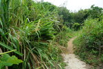 23102021_Po Toi Island00029