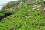 23102021_Po Toi Island00040