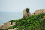 23102021_Po Toi Island00043