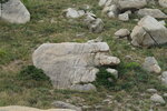 23102021_Po Toi Island00047
