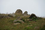 23102021_Po Toi Island00091