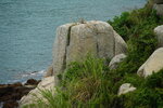 23102021_Po Toi Island00093