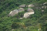 23102021_Po Toi Island00096