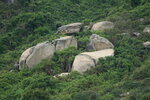23102021_Po Toi Island00097