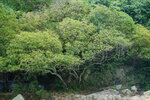 23102021_Po Toi Island00113
