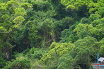 23102021_Po Toi Island00124