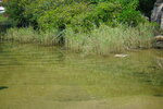 23102021_Po Toi Island00125
