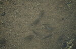 23102021_Po Toi Island00127