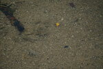 23102021_Po Toi Island00128