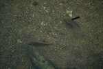 23102021_Po Toi Island00129