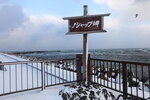 12122024_Canon EOS 5Ds_28 round to Hokkaido_Noshappu Misaki00020