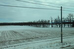 13122024_Canon EOS 5Ds_28 round to Hokkaido_Way to Shiretoko00012