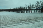 13122024_Canon EOS 5Ds_28 round to Hokkaido_Way to Shiretoko00013