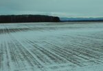 13122024_Canon EOS 5Ds_28 round to Hokkaido_Way to Shiretoko00015