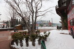 15122024_Canon EOS 5Ds_28 round to Hokkaido_Ishiya Shiroikoibito Park00086