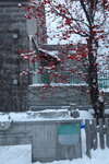 15122024_Canon EOS 5Ds_28 round to Hokkaido_Otaru Unga00001