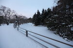 15122024_Canon EOS 5Ds_28 round to Hokkaido_Susukino Morning_Nakajima Koen00019