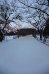 15122024_Canon EOS 5Ds_28 round to Hokkaido_Susukino Morning_Nakajima Koen00028