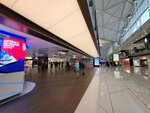 28072025_Samsung Note 20 Ultra_30th round to Hokkaido_Hong Kong International Airport00005