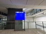28072025_Samsung Note 20 Ultra_30th round to Hokkaido_Hong Kong International Airport00008