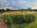 30072025_Samsung Note 20 Ultra_30th round to Hokkaido_Asahikawa Night_Ekimae Shotengai00042
