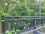 30072025_Samsung Note 20 Ultra_30th round to Hokkaido_Kitayuzawa Morning00028