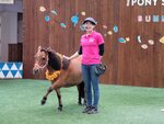 30072025_Samsung Note 20 Ultra_30th round to Hokkaido_Northern Horse Park00059