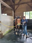 30072025_Samsung Note 20 Ultra_30th round to Hokkaido_Northern Horse Park00062