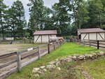 30072025_Samsung Note 20 Ultra_30th round to Hokkaido_Northern Horse Park00064